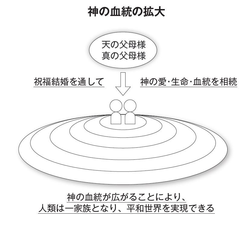 Kogensha News App